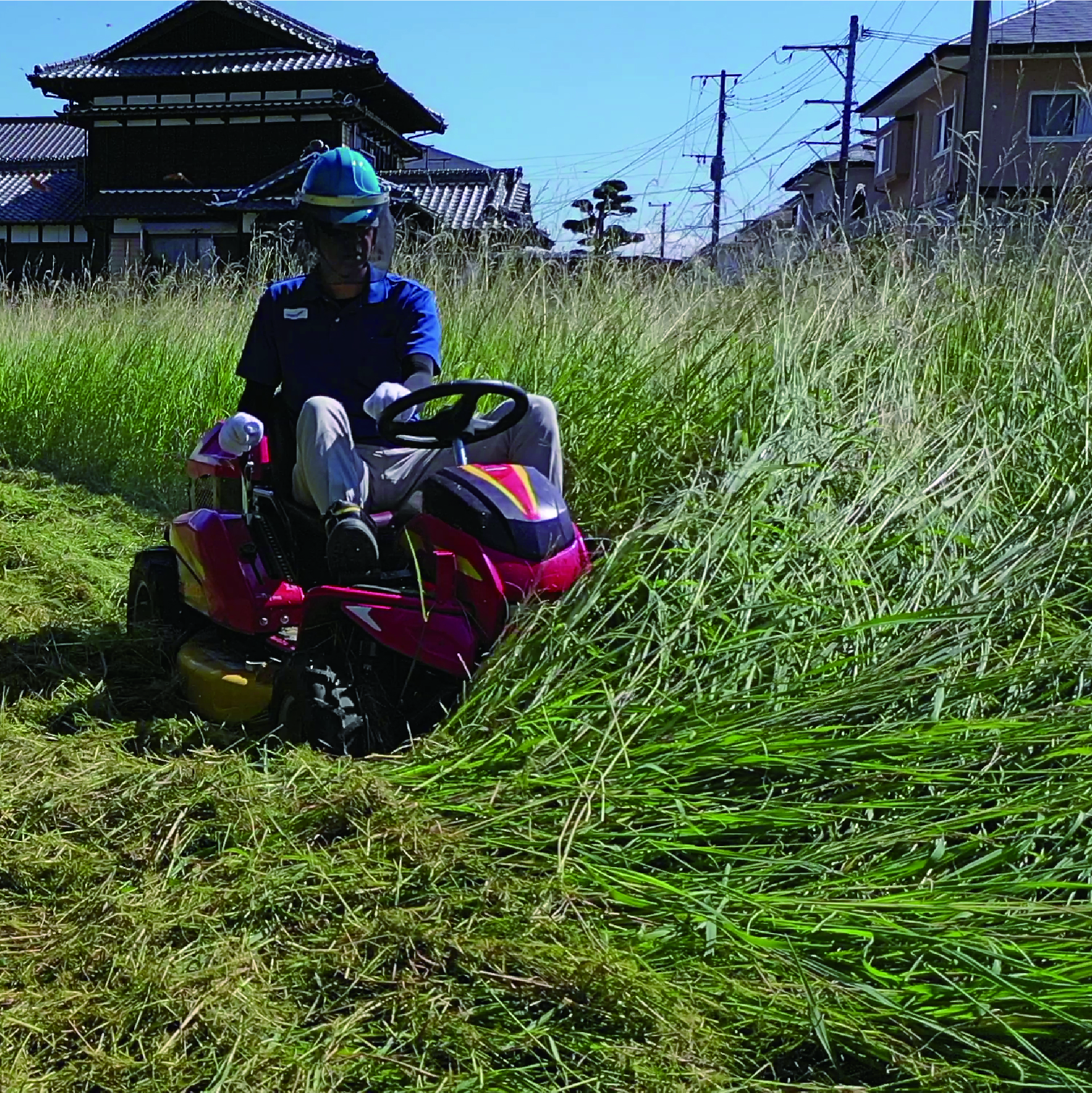 休耕田での作業、草刈り