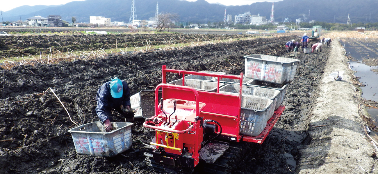 安全湿地帯のキービジュアル