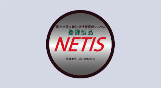 NETIS