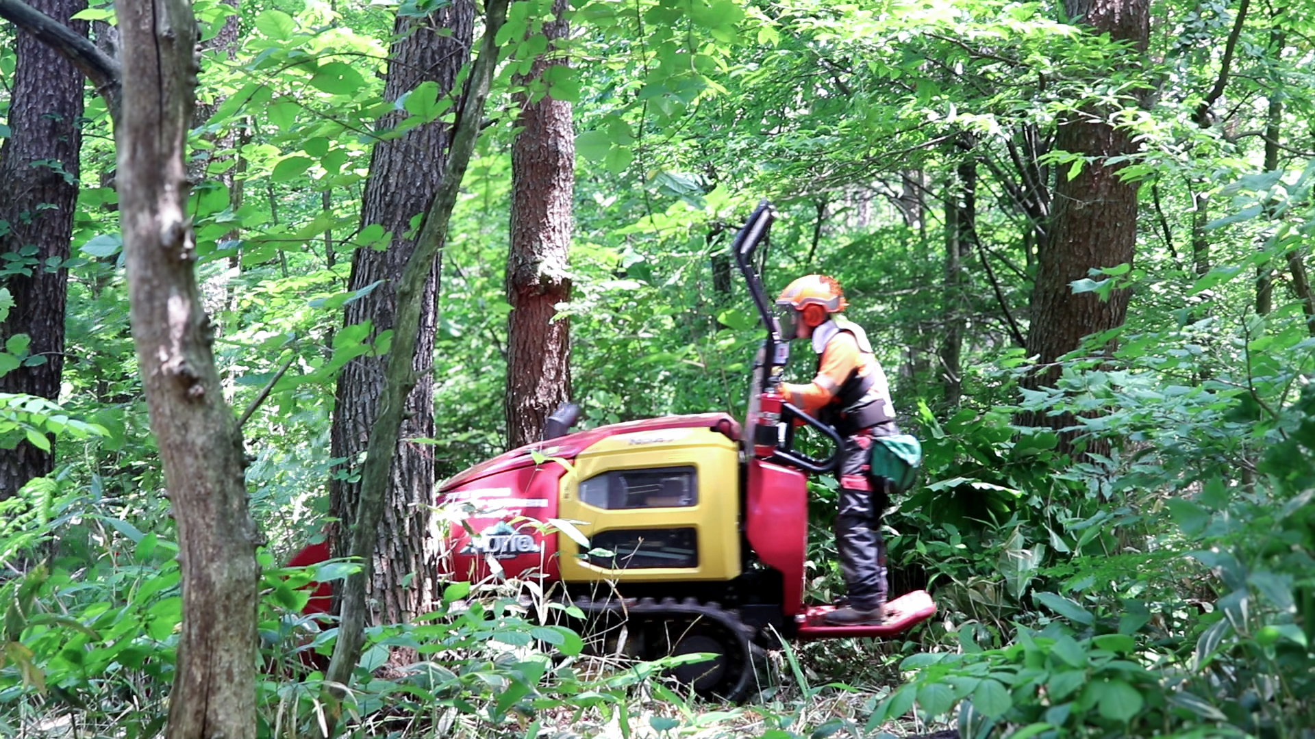 下刈りを倍速にする造林機『山もっとモット』岩手の林業会社が2台目を導入した理由は？